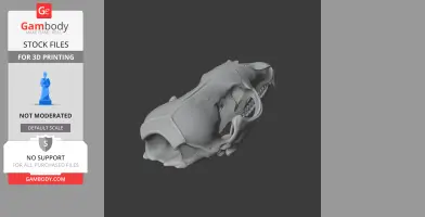 3D model of a crabeater seal skull, detailed for 3D printing, shown at an angle on a dark background.