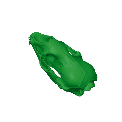 Crabeater Seal Skull.3mf