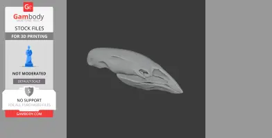 Crested Moa Skull - Skull Replica STL