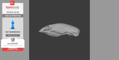Crested Moa Skull - Skull Replica STL