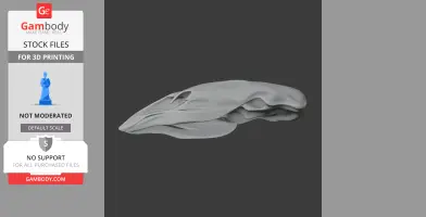 Crested Moa Skull - Skull Replica STL