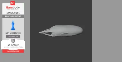 Crested Moa Skull - Skull Replica STL