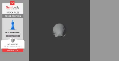 Crested Moa Skull - Skull Replica STL