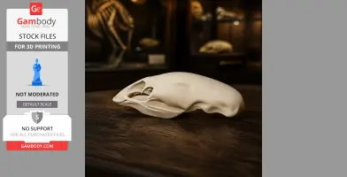 Crested Moa Skull - Skull Replica STL