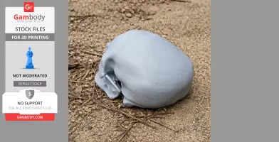 3D printed Cro-Magnon skull replica resting on sandy ground with scattered twigs.