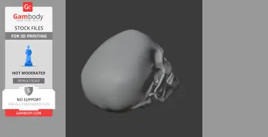3D model of a Cro-Magnon skull replica, side view, with detailed cranial structure for printing.