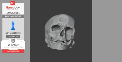 A 3D model of a Cro-Magnon skull replica for 3D printing.