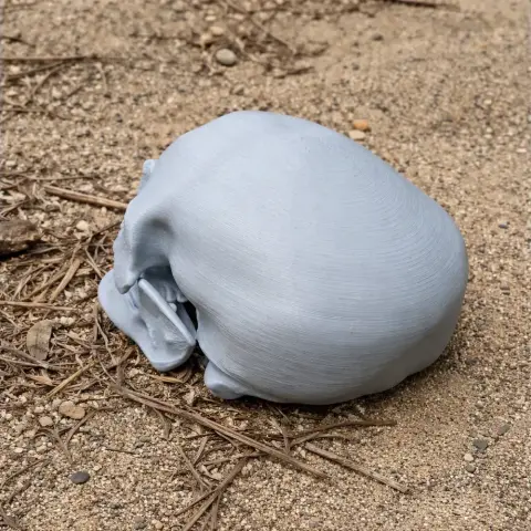 A 3D-printed Cro-Magnon skull replica placed on sandy ground with twigs.
