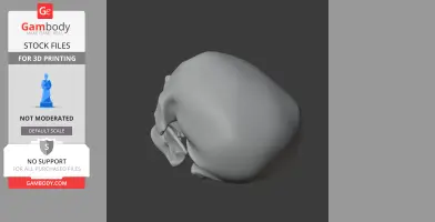 3D model of a Cro-Magnon skull replica viewed from above, designed for 3D printing.