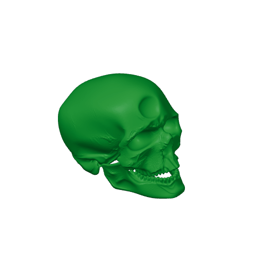 Cro-Magnon Skull.3mf