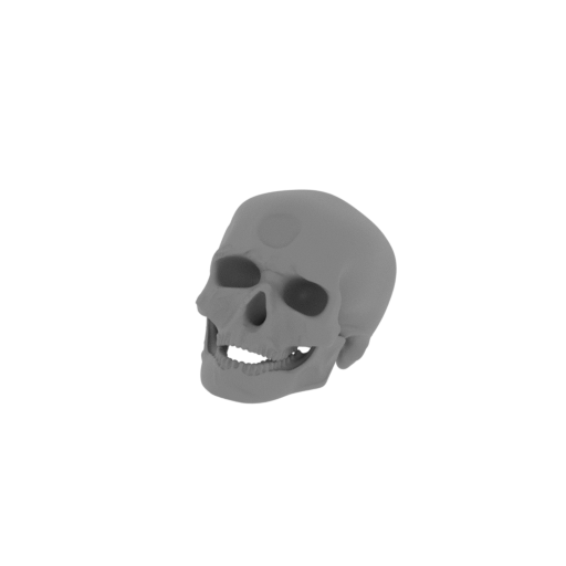 Cro-Magnon Skull.stl