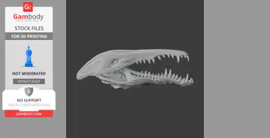 Crocodile Skull - Skull Replica STL