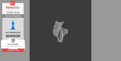 Crocodile Skull - Skull Replica STL