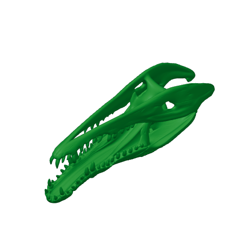 Crocodile Skull.3mf