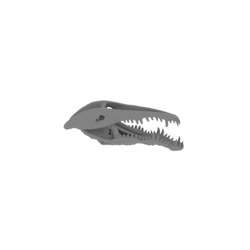 Crocodile Skull.stl