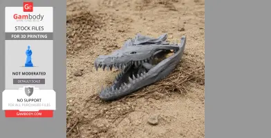 Crocodile Skull - Skull Replica STL