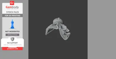 3D model of a Cuban crocodile skull from below, designed for 3D printing.