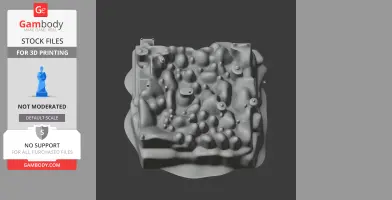 Beverstone Castle - Architecture STL