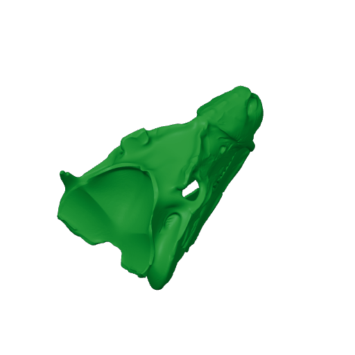 Cynognathus Skull.3mf
