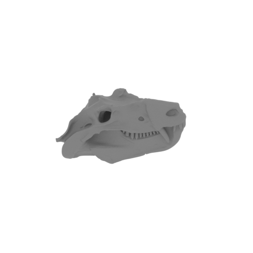 Cynognathus Skull.stl