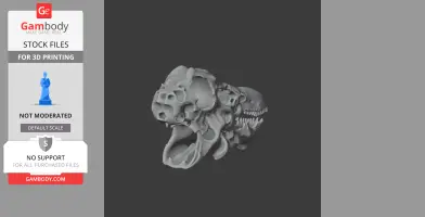 3D model of a Dacentrurus skull, featuring detailed bone structures and teeth on a dark background.
