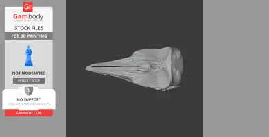 Dall's Porpoise skull replica 3D model, showcasing detailed bone structure for 3D printing.