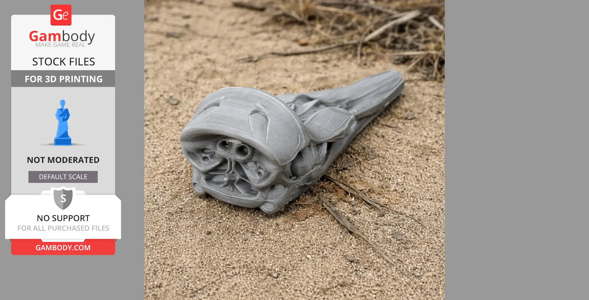 3D printed Dall's Porpoise skull replica on sandy ground, detailed and gray.