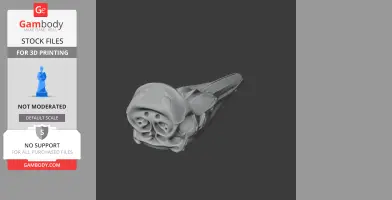 3D model of a Dall's porpoise skull, gray, detailed, viewed from the top right.