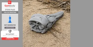 3D printed Dall's Porpoise skull replica on sandy ground, detailed and gray.