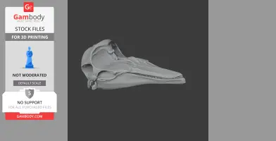 3D model of a Dall's porpoise skull, detailed and ready for 3D printing.