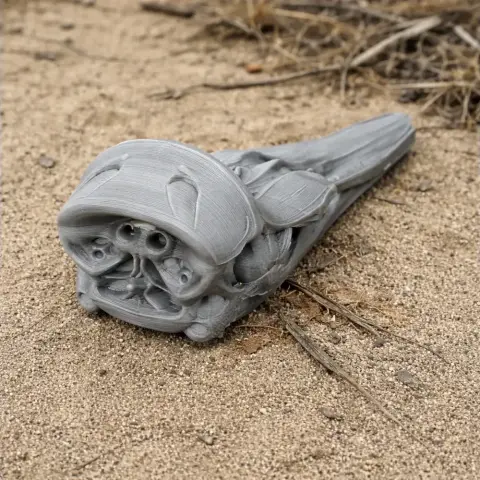 3D-printed gray Dall’s porpoise skull replica resting on sandy ground.