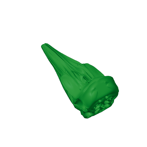 Dall's Porpoise Skull.3mf