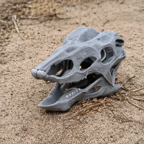 3D printed Desmatosuchus skull replica placed on sandy ground.