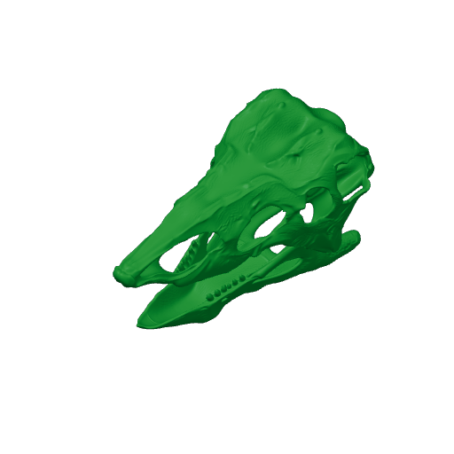 Desmatosuchus Skull.3mf