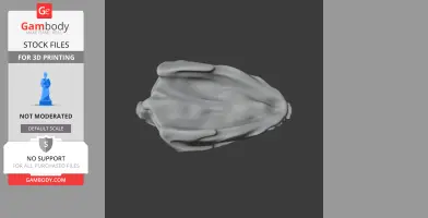 Top view of a gray Diadectes skull model for 3D printing on a dark background.