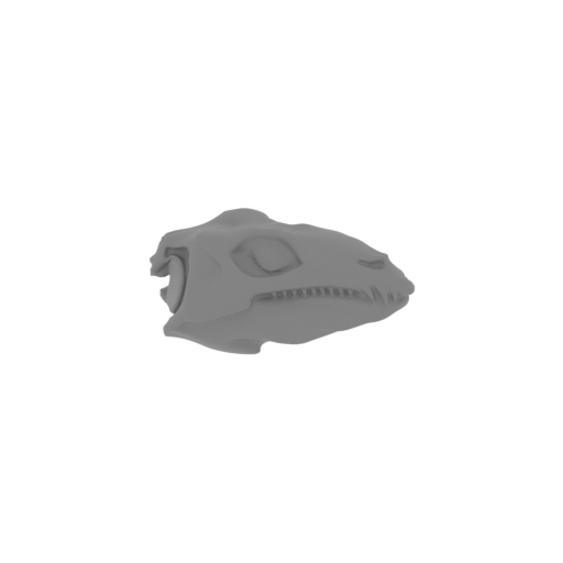 Diadectes Skull.stl