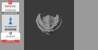 3D model of a Diadectes skull replica in STL format, viewed from a frontal angle.