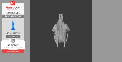 3D model of a dik-dik skull replica viewed from above, with intricate details on a dark background.