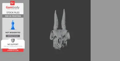 3D model of a dik-dik skull with detailed horns, designed for 3D printing.