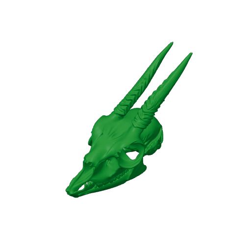 Dik-dik Skull.3mf
