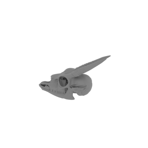 Dik-dik Skull.stl