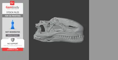 Dilophosaurus skull model, detailed and textured, ideal for 3D printing.