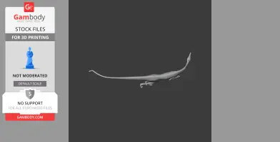 3D model of a long-tailed, slender-bodied Pelecanimimus dinosaur for 3D printing.