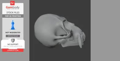 De Brazza's Monkey Skull - Skull Replica STL