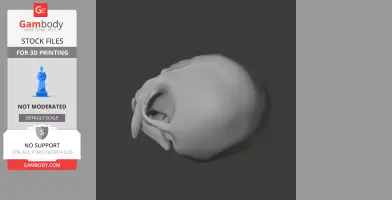 De Brazza's Monkey Skull - Skull Replica STL
