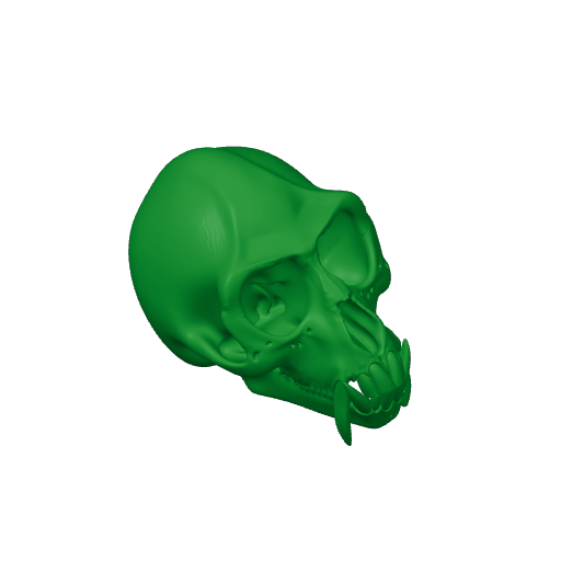 De Brazza's Monkey Skull.3mf