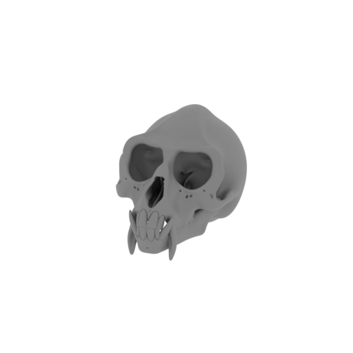 De Brazza's Monkey Skull.stl