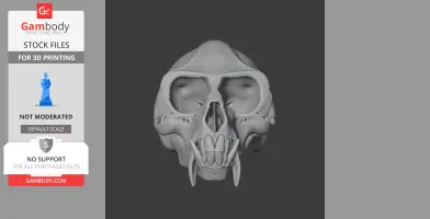 De Brazza's Monkey Skull - Skull Replica STL
