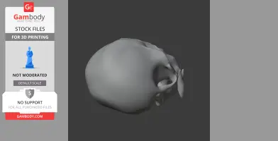 De Brazza's Monkey Skull - Skull Replica STL