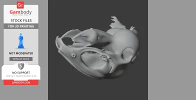Degu Skull - Skull Replica STL
